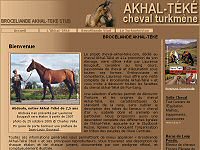 Brocéliande Akhal-Téké, élevage de chevaux turkmènes